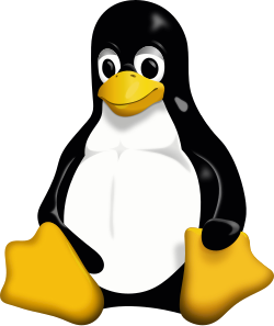 Linux VPS-1